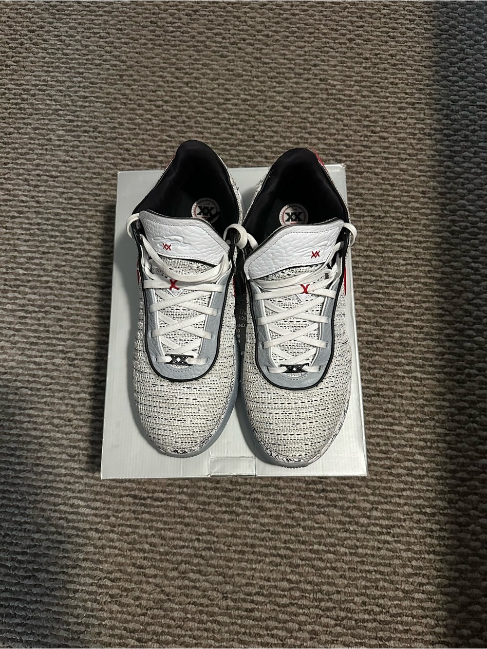Nike LeBron 20 “The Debut” Basketball Sneakers